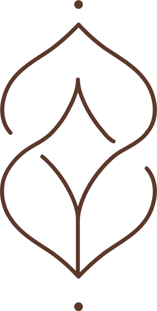Private Mentorship Logo